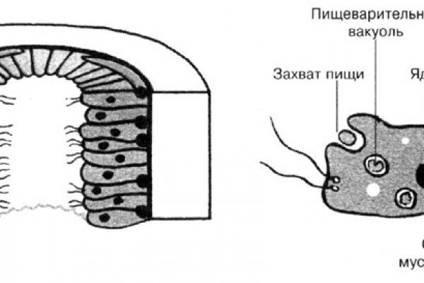 Кракен тор krakens13 at