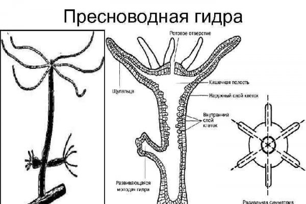 Вход в кракен