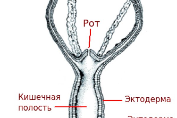 Darknet ссылка кракен kraken014 com